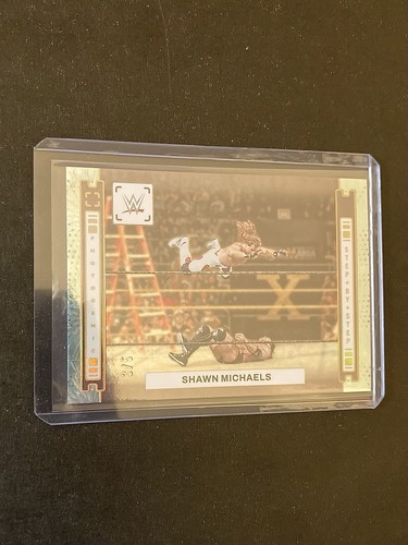 Shawn michaels 2024 - 3/5,